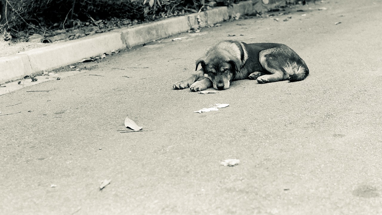 post